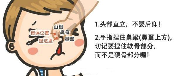 鼻子出血，家屬怎么辦？
